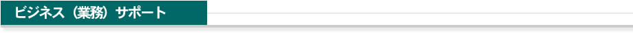 ビジネス（業務）サポート